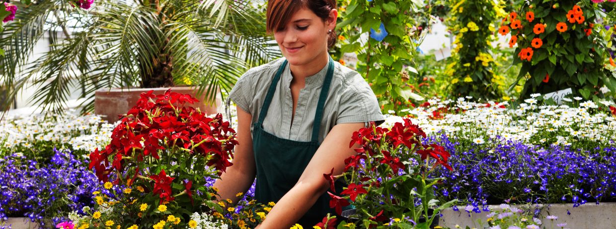 Young Female Gardener In The Greenhouse